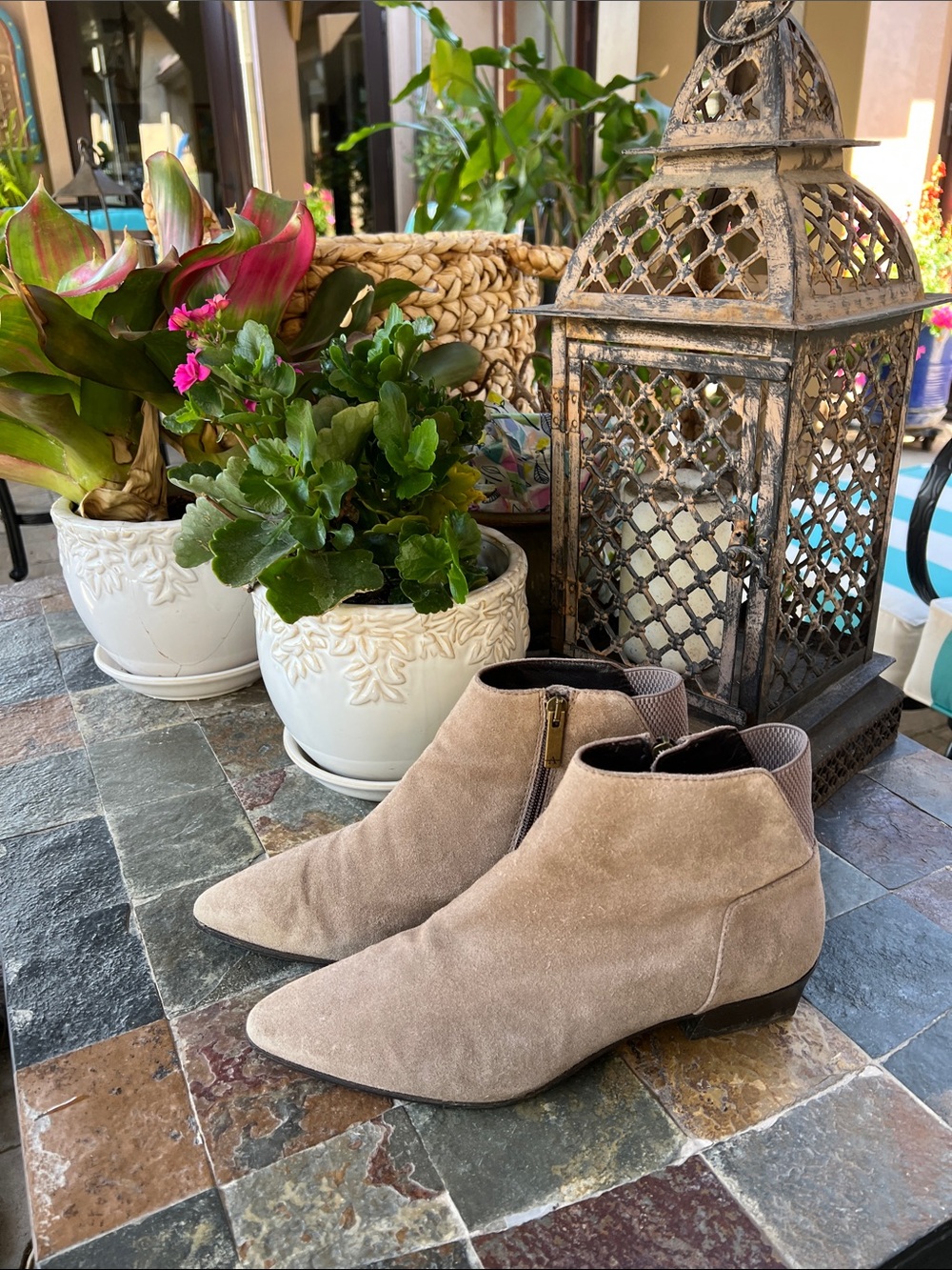 Aquatalia Taupe Suede ankle bootie with Side Zip by 8.5